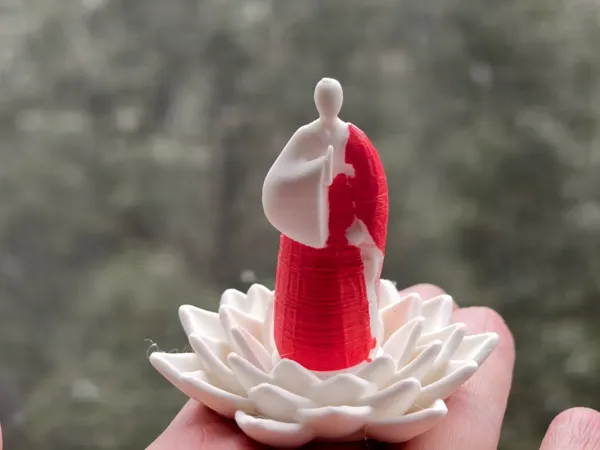 https://makerworld.bblmw.com/makerworld/model/DSM00000001038839/design/c19e7359-cbce-45ad-a253-e9c136bf86bf.webp