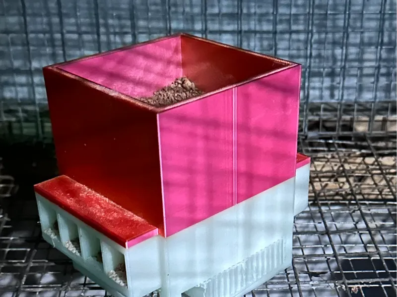 quail feeder V2
