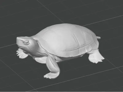 Turtle