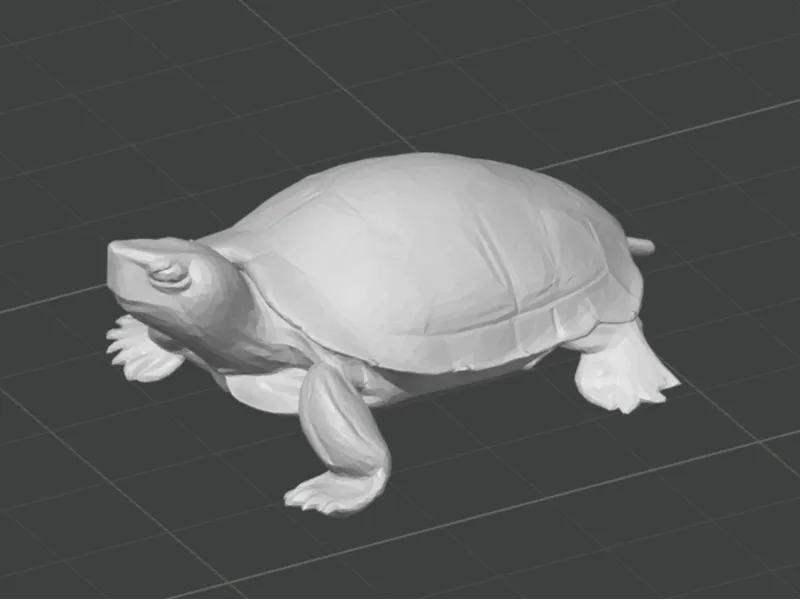 Turtle
