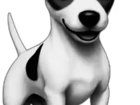 jack russel bandiet