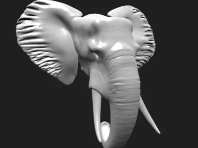 Elephant Head