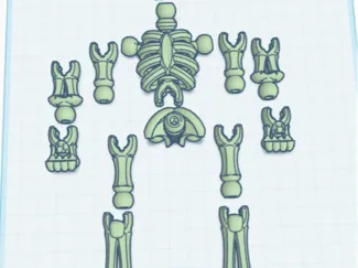 skeleton