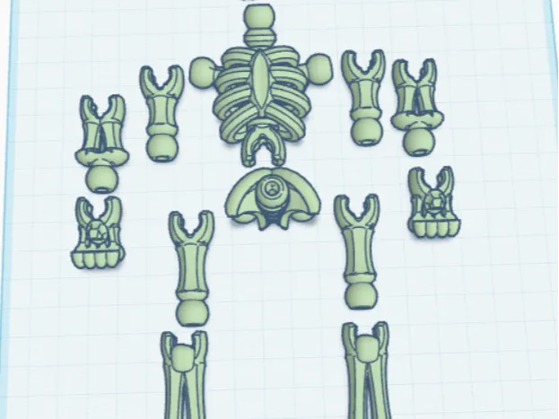 skeleton