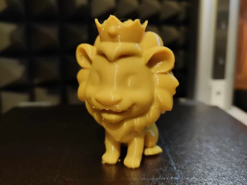 Cute lion