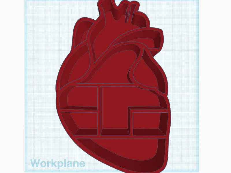 Anatomical Heart Shelf