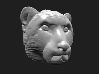 Cheetah head