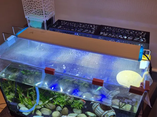https://makerworld.bblmw.com/makerworld/model/DSM00000001048247/design/2025-01-28_53d89fb743e03.jpg