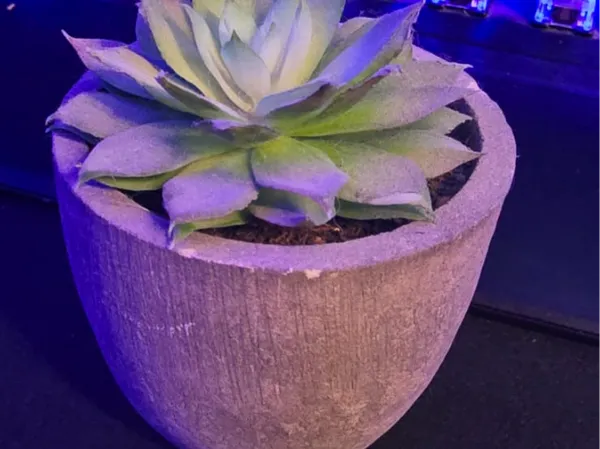 https://makerworld.bblmw.com/makerworld/model/DSM00000001048583/design/2025-01-28_6507092ad637f.jpg