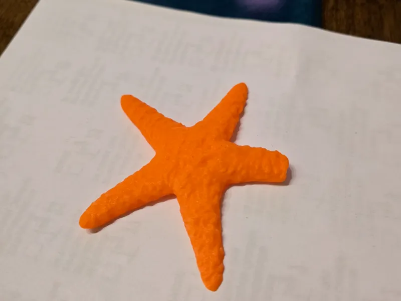 Seestern Seastar 3D Scan