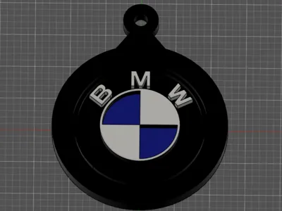 BMW Keychain
