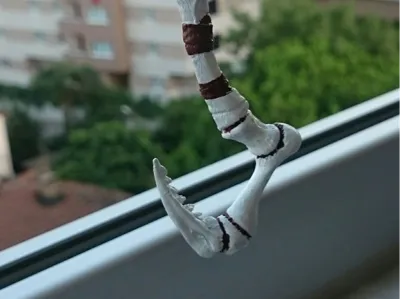 Dragonclaw Hook