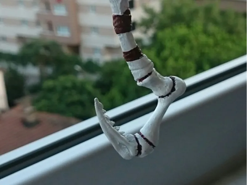 Dragonclaw Hook