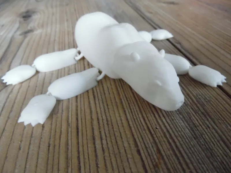 Eisbär