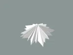 star decor