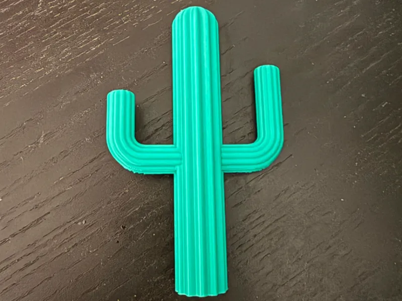 Ring Cactus