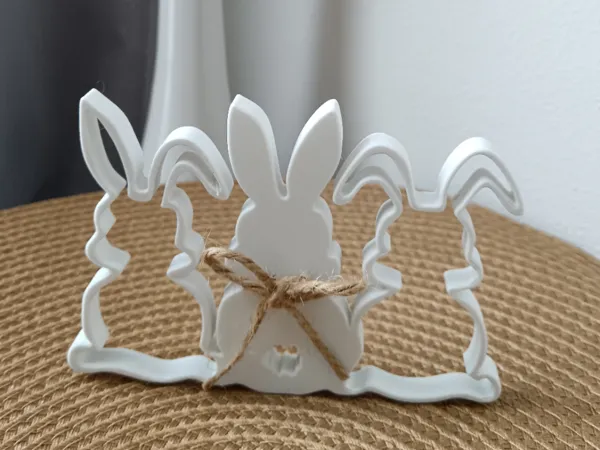https://makerworld.bblmw.com/makerworld/model/DSM00000001054633/design/2025-01-30_a133f6eae7db68.jpg