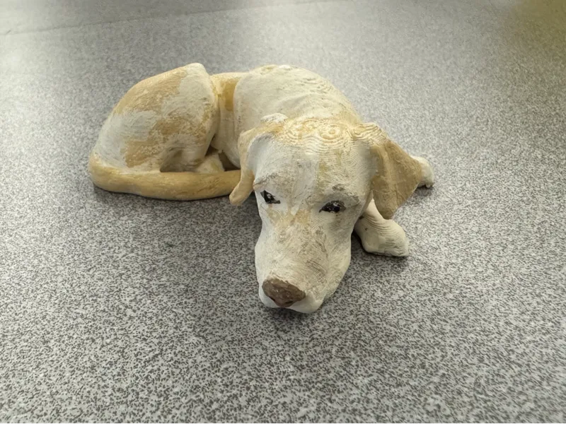 Yellow Lab