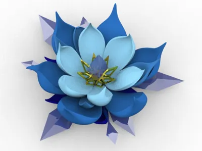 Lotus Flower