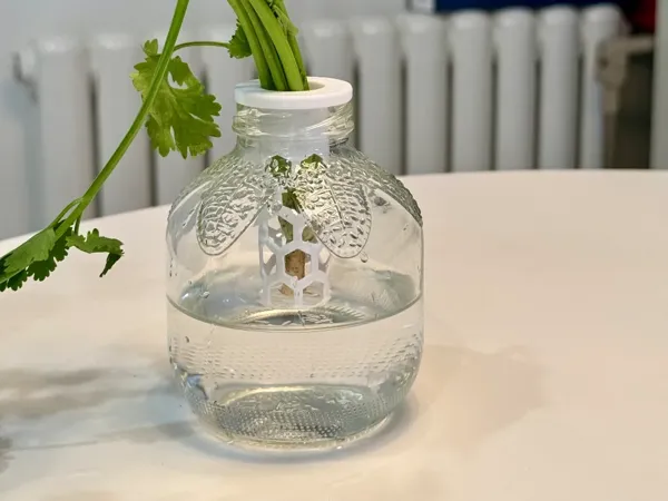 https://makerworld.bblmw.com/makerworld/model/DSM00000001057683/design/bab1196f-fc5a-4c54-a9a1-7af4a370925a.webp