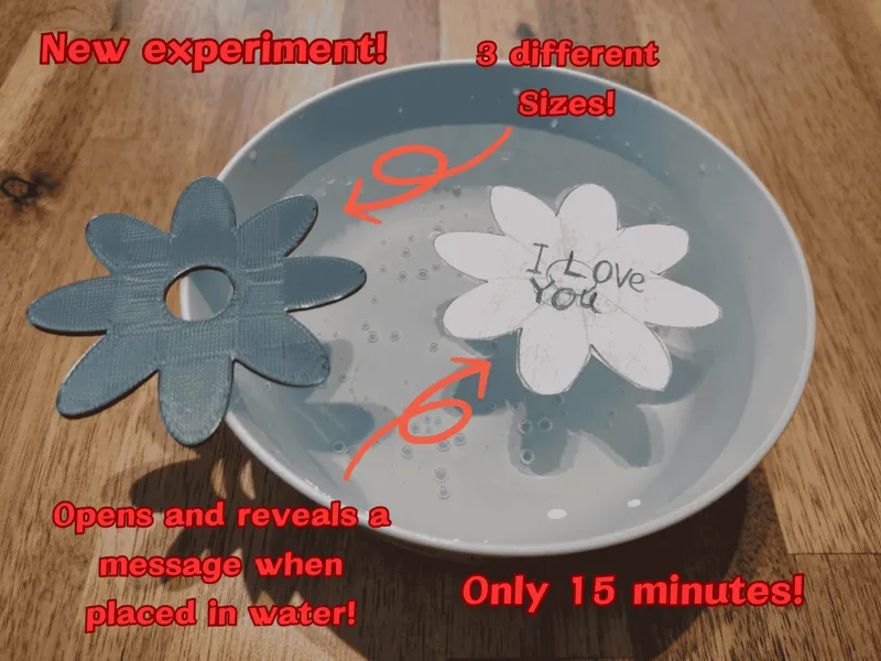 Blooming flower pattern