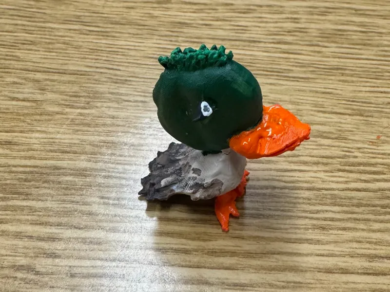 Ugly Duckling