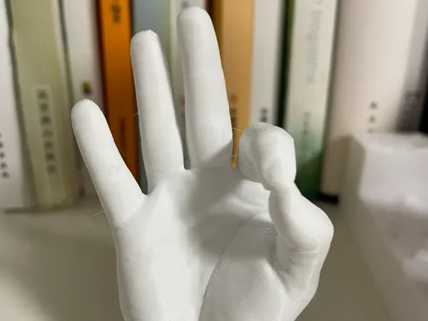 https://makerworld.bblmw.com/makerworld/model/DSM00000001059997/design/306b4059-76d3-4786-8307-50f8dfb19aee.webp