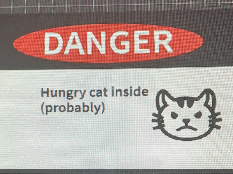 cat poster