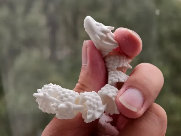 https://makerworld.bblmw.com/makerworld/model/DSM00000001063870/design/ace4b78c-9b71-42a1-af3e-6ab0b1fe6149.webp