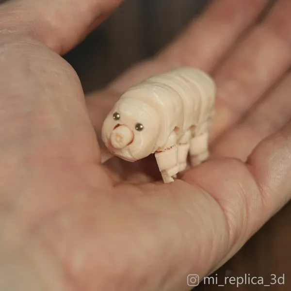 https://makerworld.bblmw.com/makerworld/model/DSM00000001066124/design/2025-02-03_ykhkqpm3z0zm.jpg