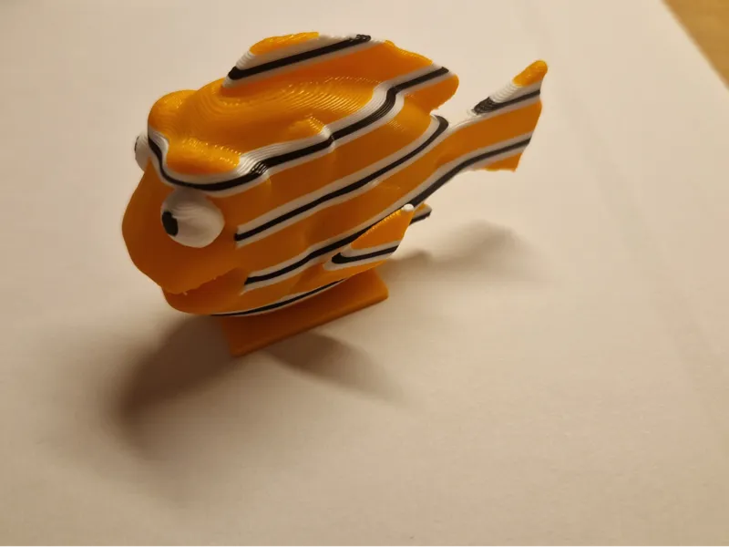 fish