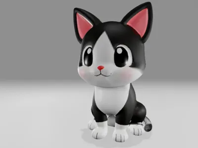 black and white cat