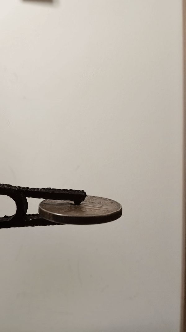 Coin Ping Test Holder