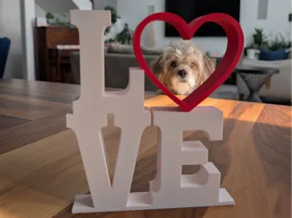 LOVE HEART
