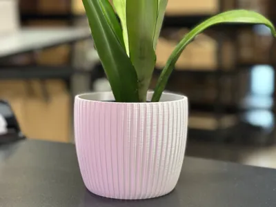 Flower Pot