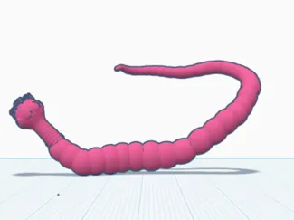 Anatomically Correct Tapeworm