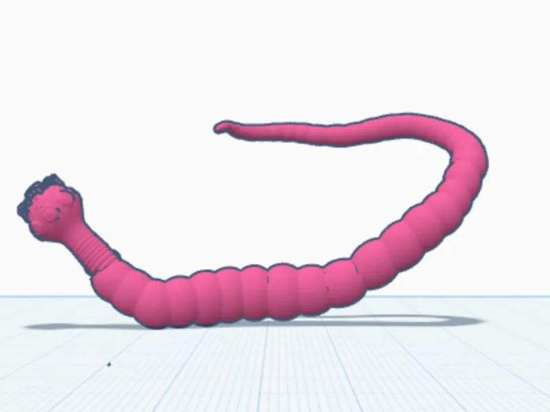 Anatomically Correct Tapeworm