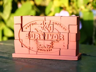 Survivor 47 - Logo Block Puzzle