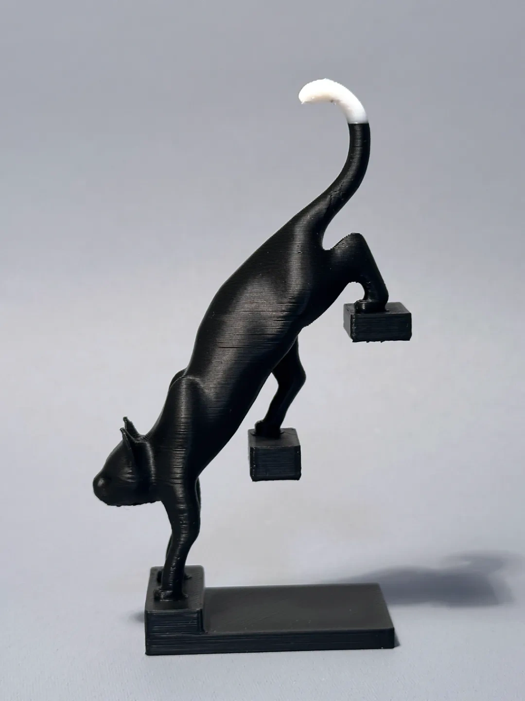 Suspended Cat by 蟑螂恶霸3D - MakerWorld