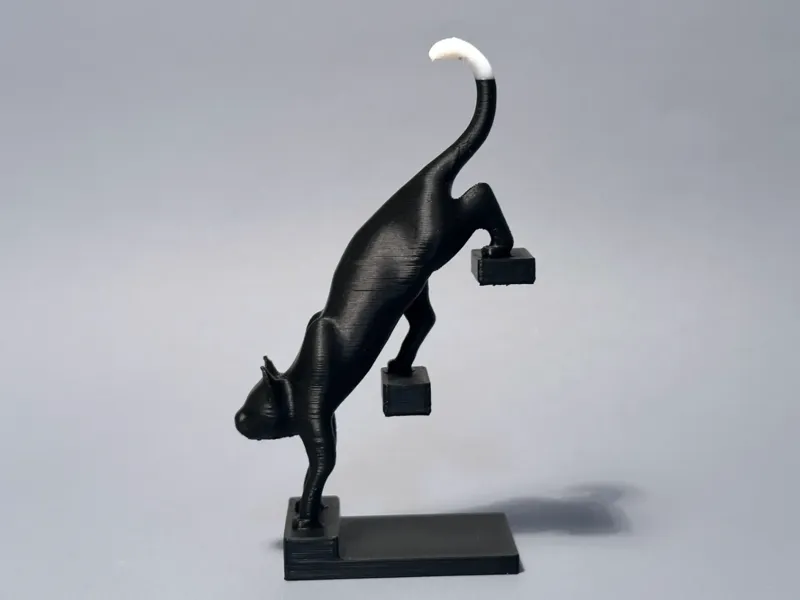 悬浮猫