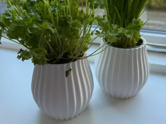 Herb Vase