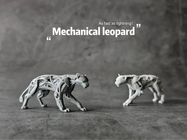 https://makerworld.bblmw.com/makerworld/model/DSM00000001079452/design/17cb6518-e4c7-4ed2-958a-366eda68ad4d.webp