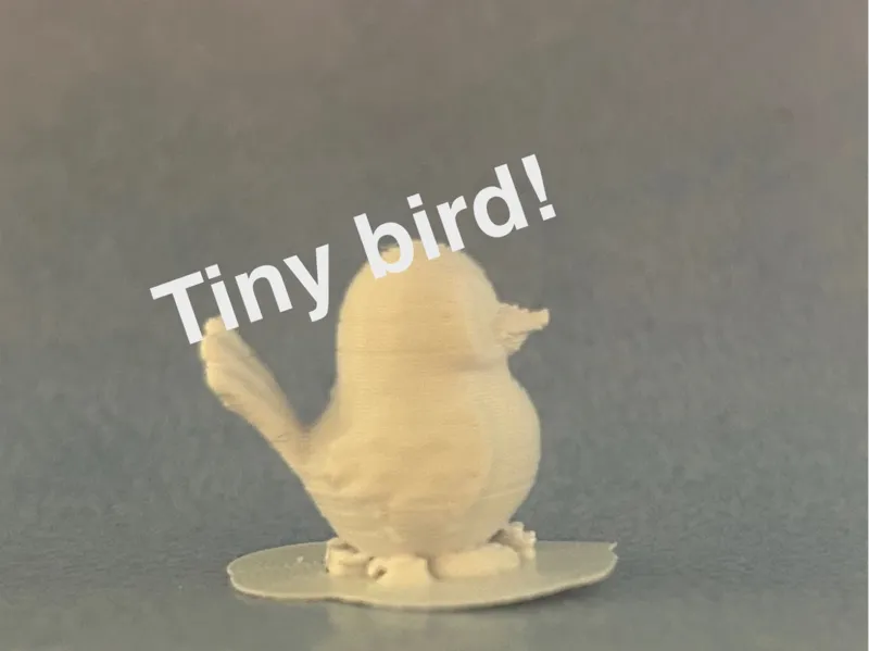 Tiny quick print bird!