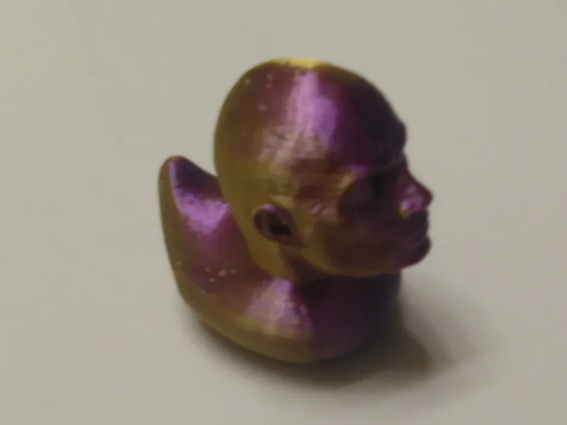 Dwayne_The_Duck_Jhonson