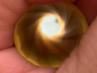 软蛋膛线枪管