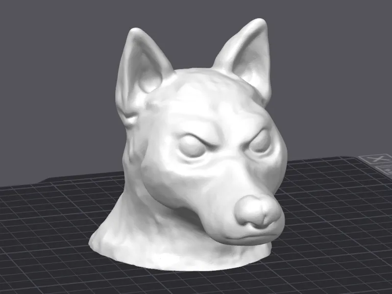 Furry Canine Head Mannequin / Bust