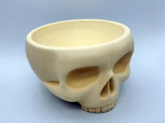 Skull bowl