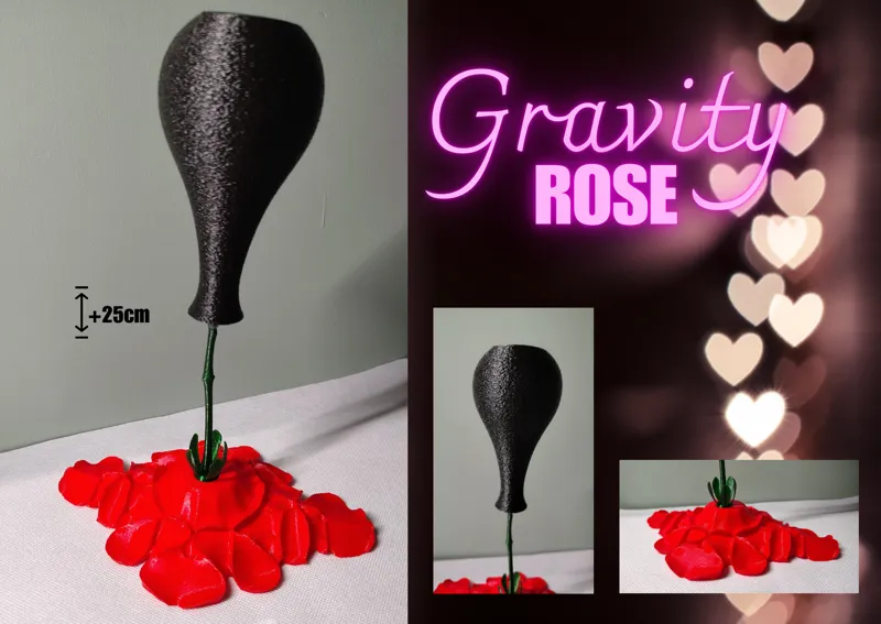 Gravity Rose