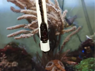 porta sensore di temperatura per acquario