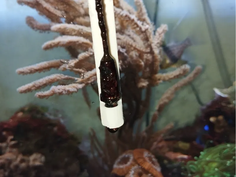 porta sensore di temperatura per acquario